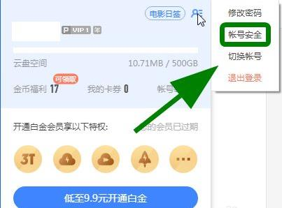 如何有效提高迅雷下载速度的方法图4