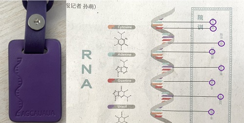 恋与制作人救世主计划许墨答案攻略2023图2