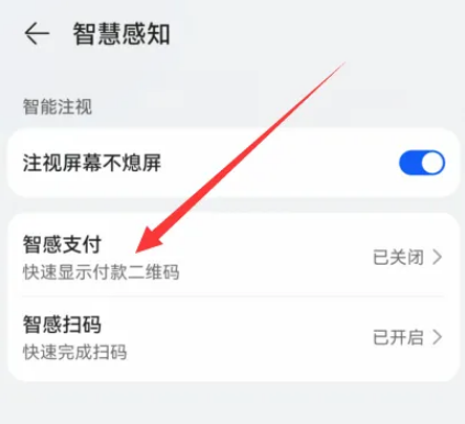 华为Mate60如何设置碰到扫码枪自动跳出支付码 华为Mate60智感支付开启方法介绍图3