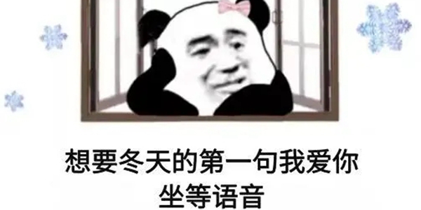 想要冬天第一句我爱你坐等语音表情包图1