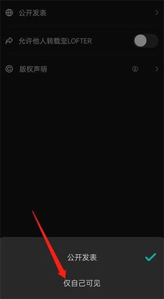 lofter如何将发布内容设为仅自己可见 lofter发表查阅权限设置方法一览图7