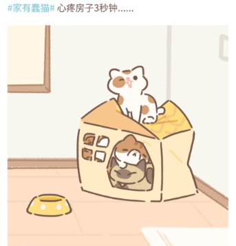 遇见你的猫喵圈攻略大全图2