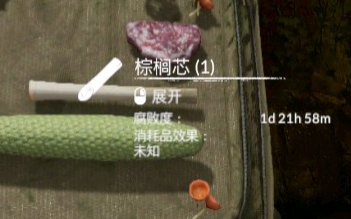 绿色地狱棕榈芯有什么用 绿色地狱棕榈芯作用分享图1