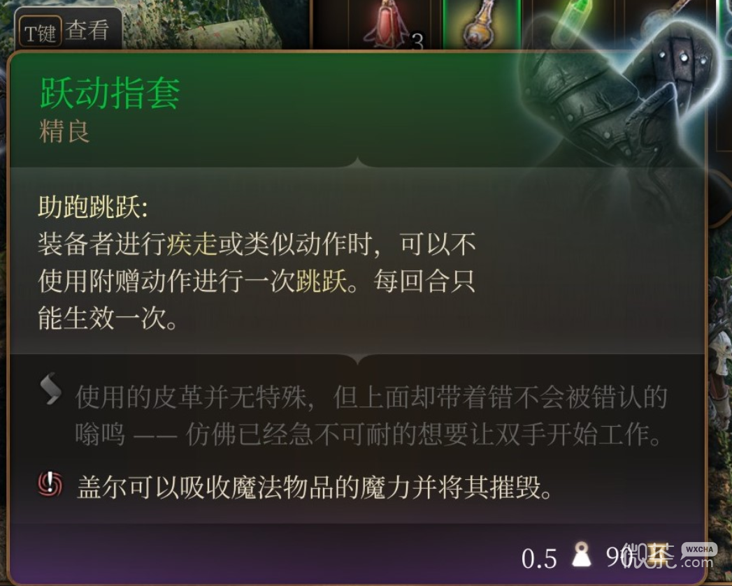 博德之门3跃动指套获得位置一览图2