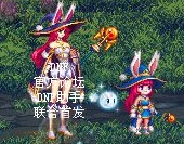 DNF财宝群岛历险记有哪些宠物图17